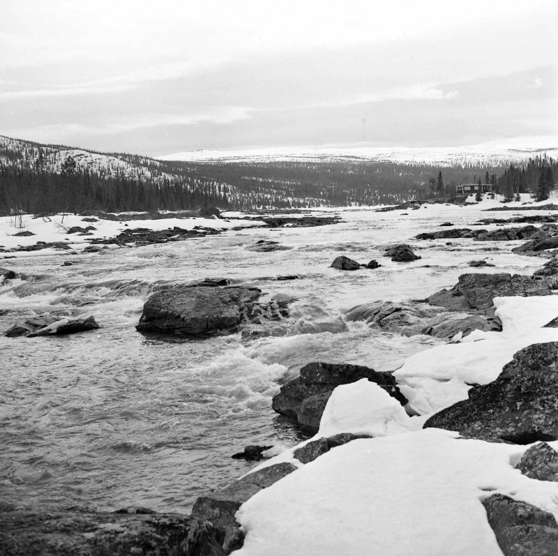 The river Ångermanälven