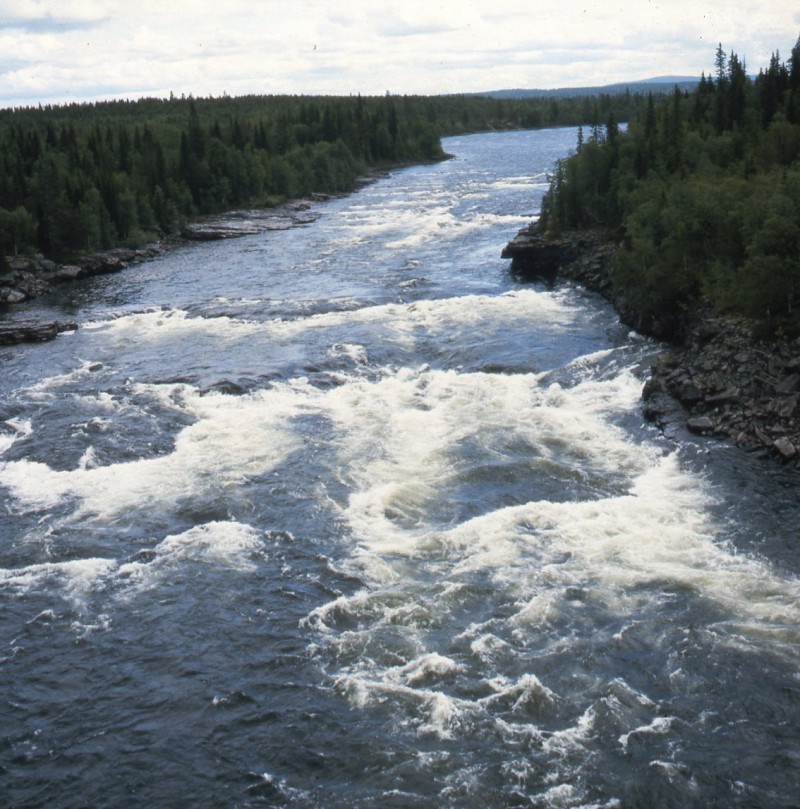 The Kalix river